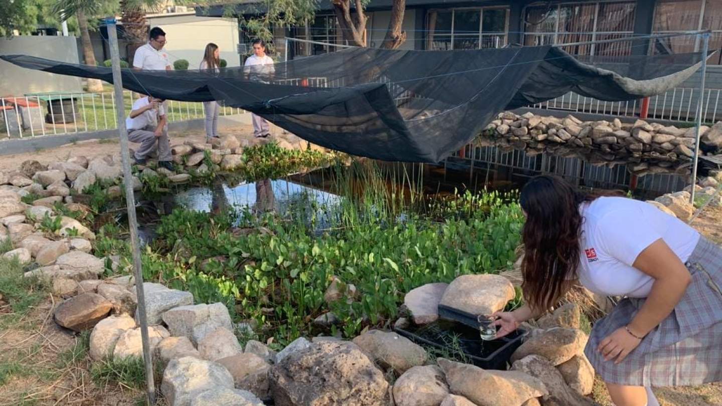 Refuerza Cobach Sonora participación de estudiantes en la conservación del pez pupo