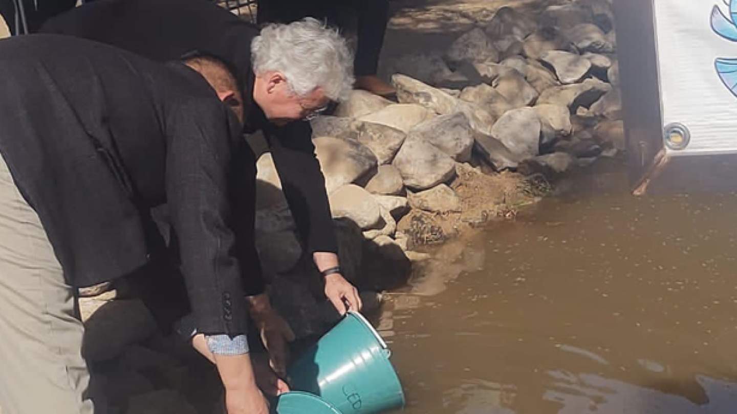 Tiene Cachorrito del Desierto remodelado refugio