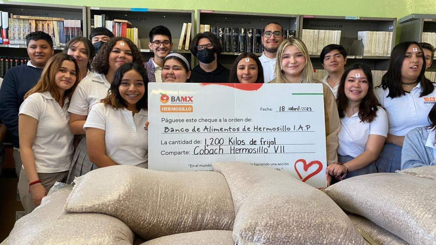 Reúne Cobach cerca de ocho toneladas de frijol: Gobierno de Sonora