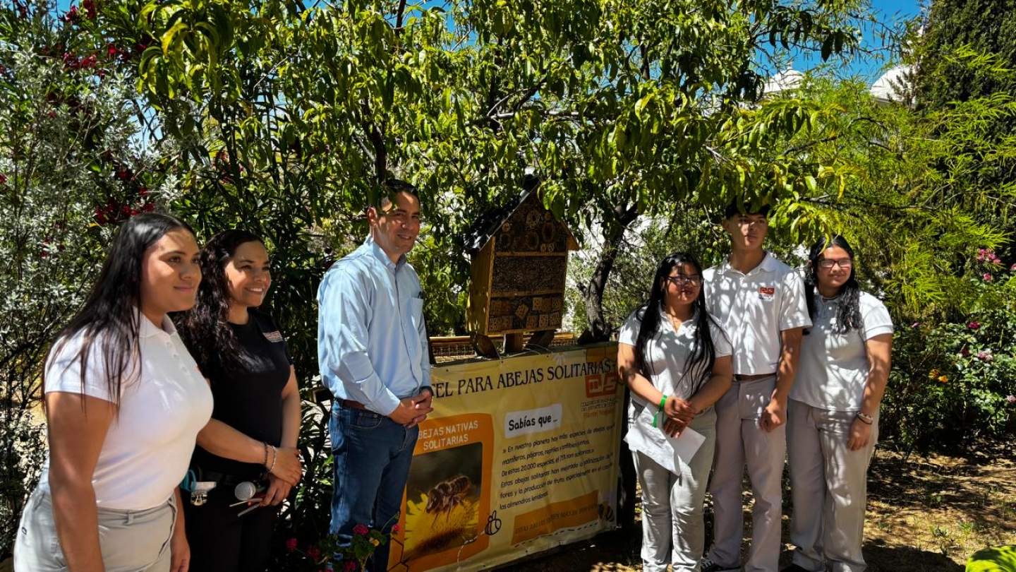 Instalan alumnos de Cobach Sonora “Hotel para abejas solitarias”
