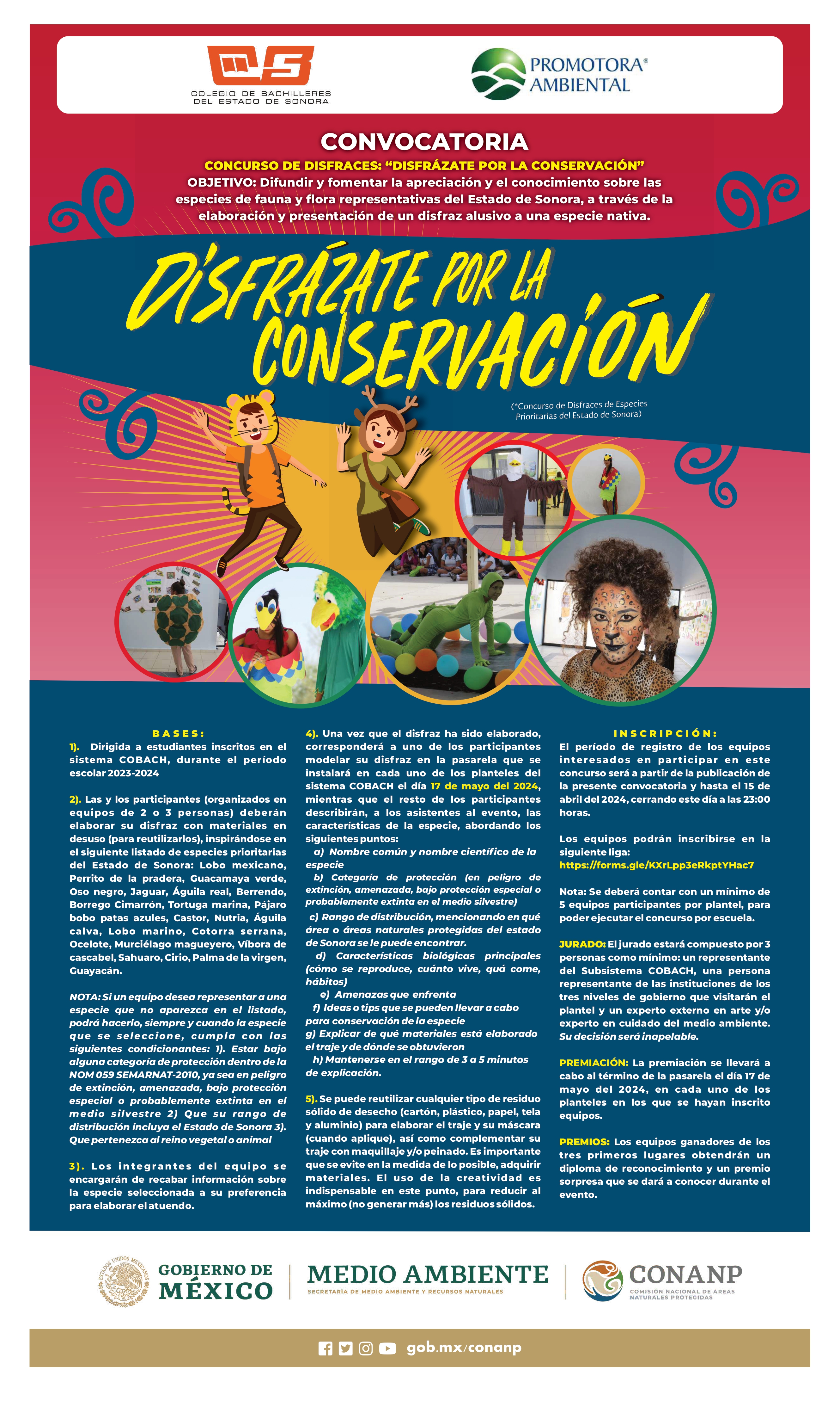 convocatoria disfrazate por la conservacion2024 page